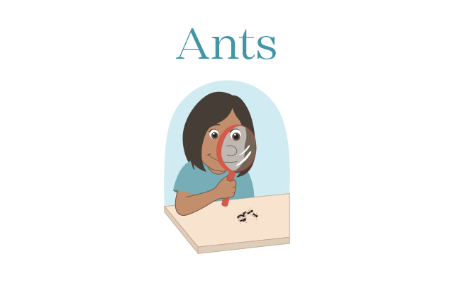 Decodable Book "Ants"